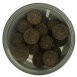 Nash Boilies Signal Coated Hookbaits Scopex Squid 24mm 12ks